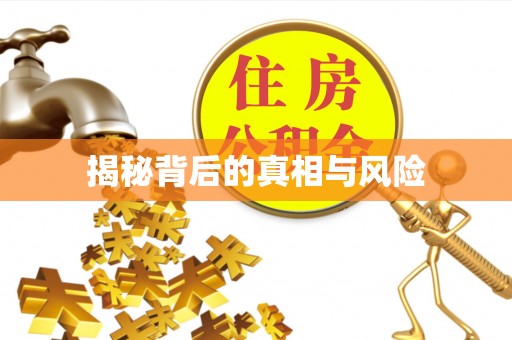 昌邑揭秘背后的真相与风险