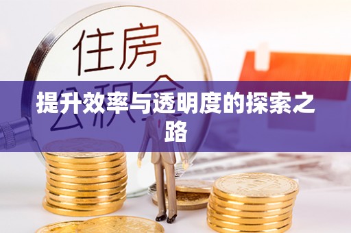 昌邑提升效率与透明度的探索之路