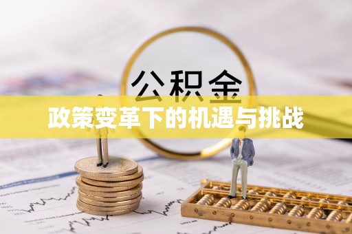 昌邑政策变革下的机遇与挑战