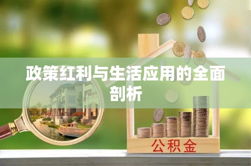 昌邑政策红利与生活应用的全面剖析
