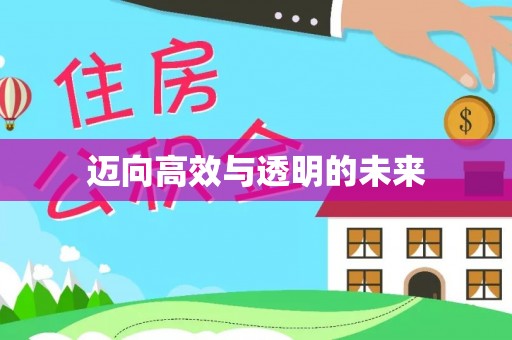 昌邑迈向高效与透明的未来
