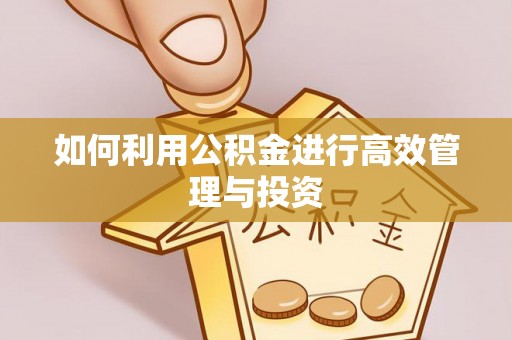 昌邑如何利用公积金进行高效管理与投资