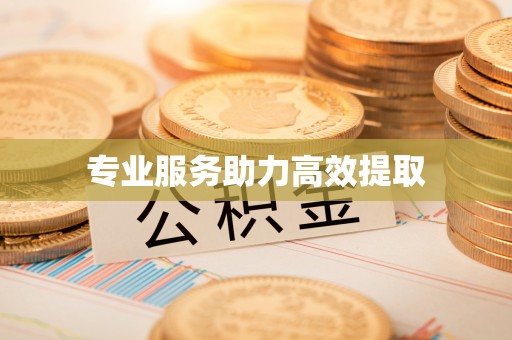 昌邑专业服务助力高效提取
